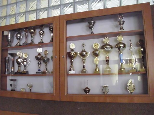 Puchary 2010